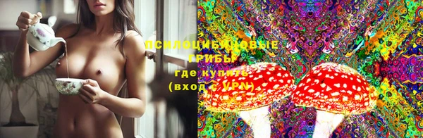 spice Нягань