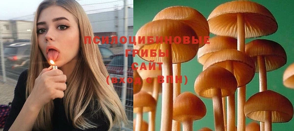 экстази Новодвинск