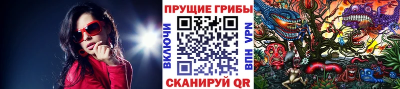 купить  цена  Нижний Ломов  Галлюциногенные грибы GOLDEN TEACHER 